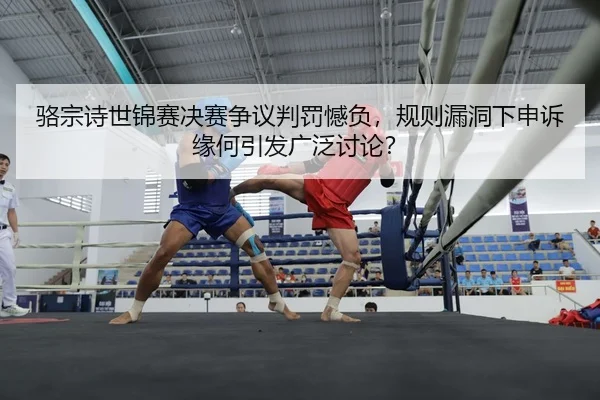 luo-zong-shi-shi-jin-sai-jue-sai-zheng-yi-pan-fa-han-fu-gui-ze-lou-dong-xia-shen-su-yuan-he-yin-fa-guang-fan-tao-lun-2-124.jpg